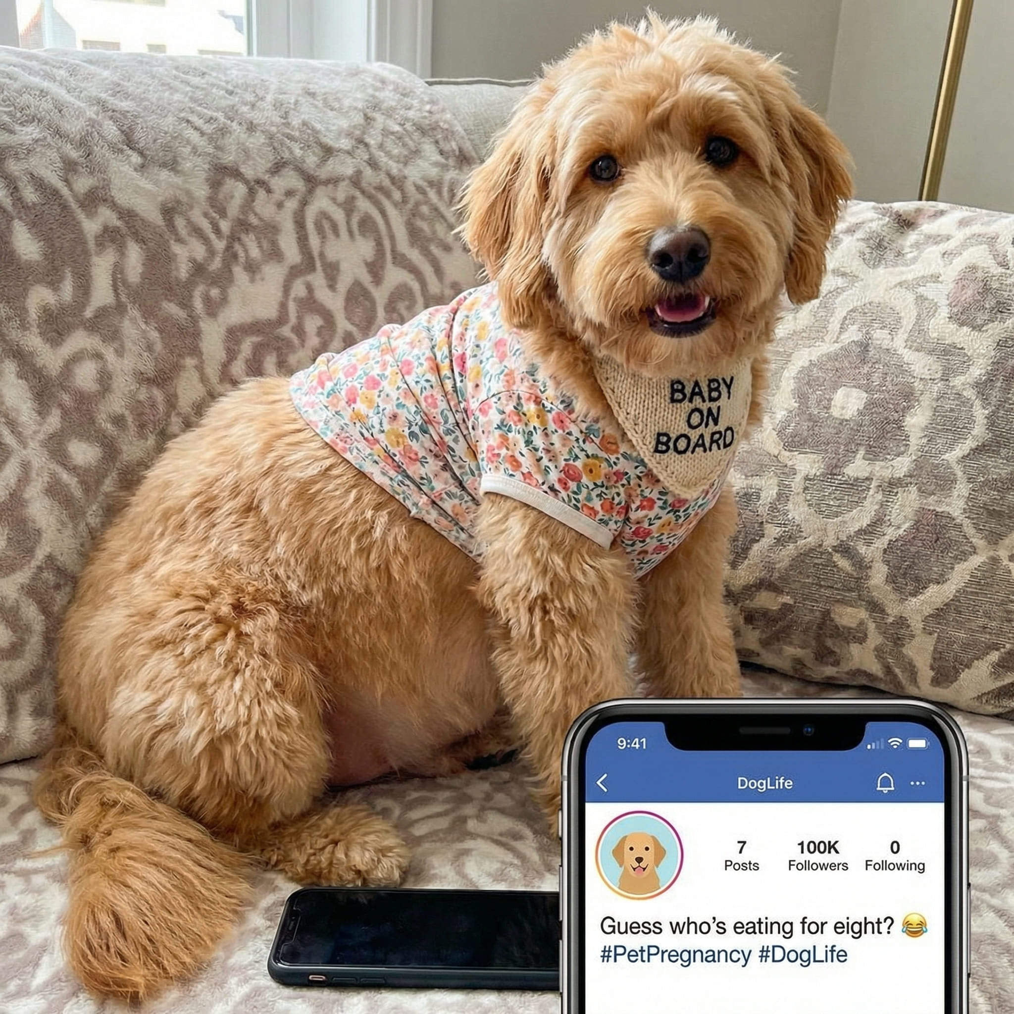 pregnant pet animal funny effect