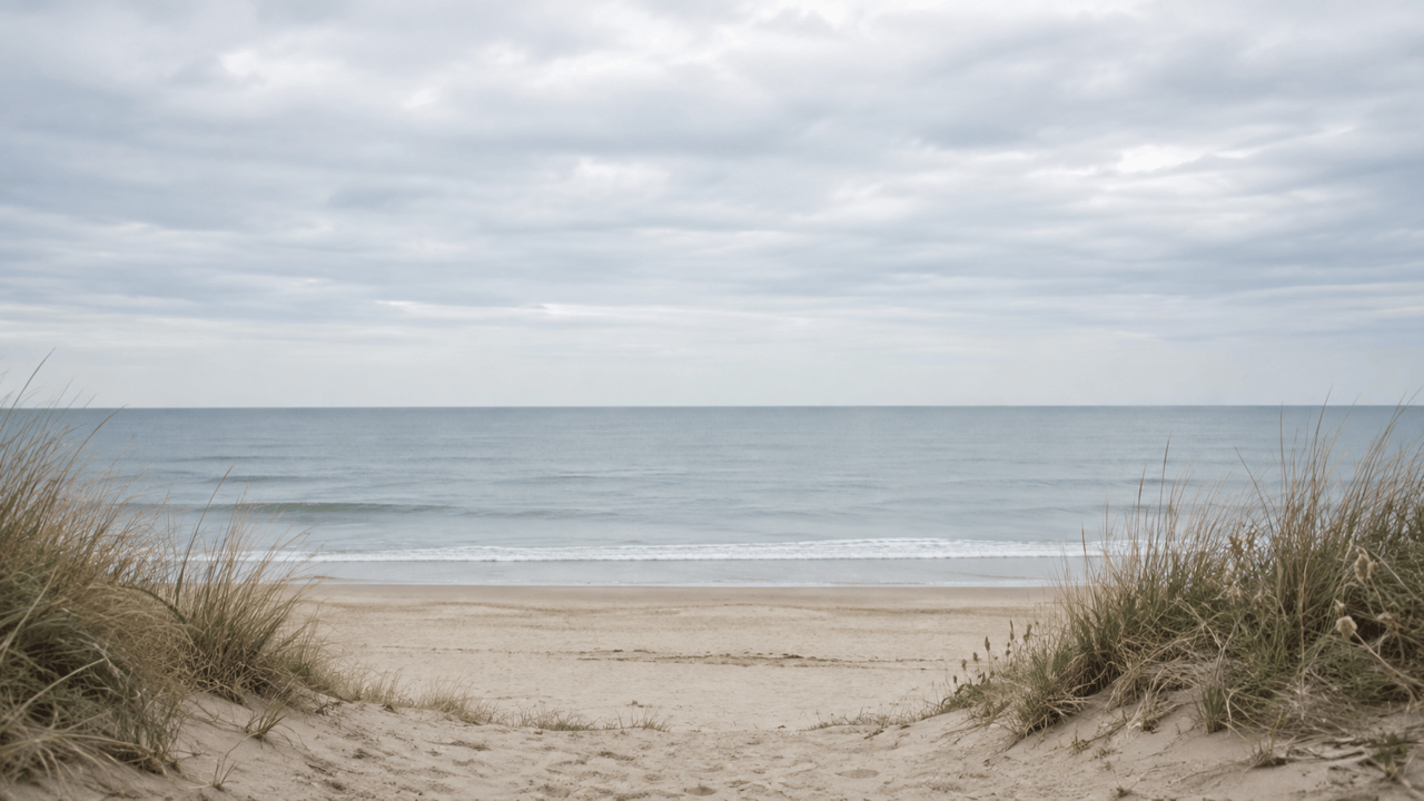 Beach virtual meeting background