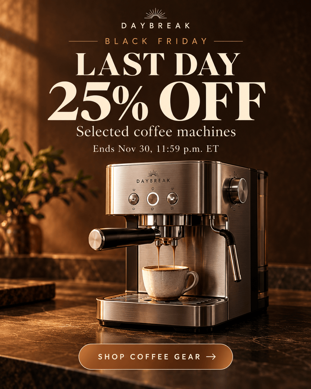 Black Friday coffee maker sale ad