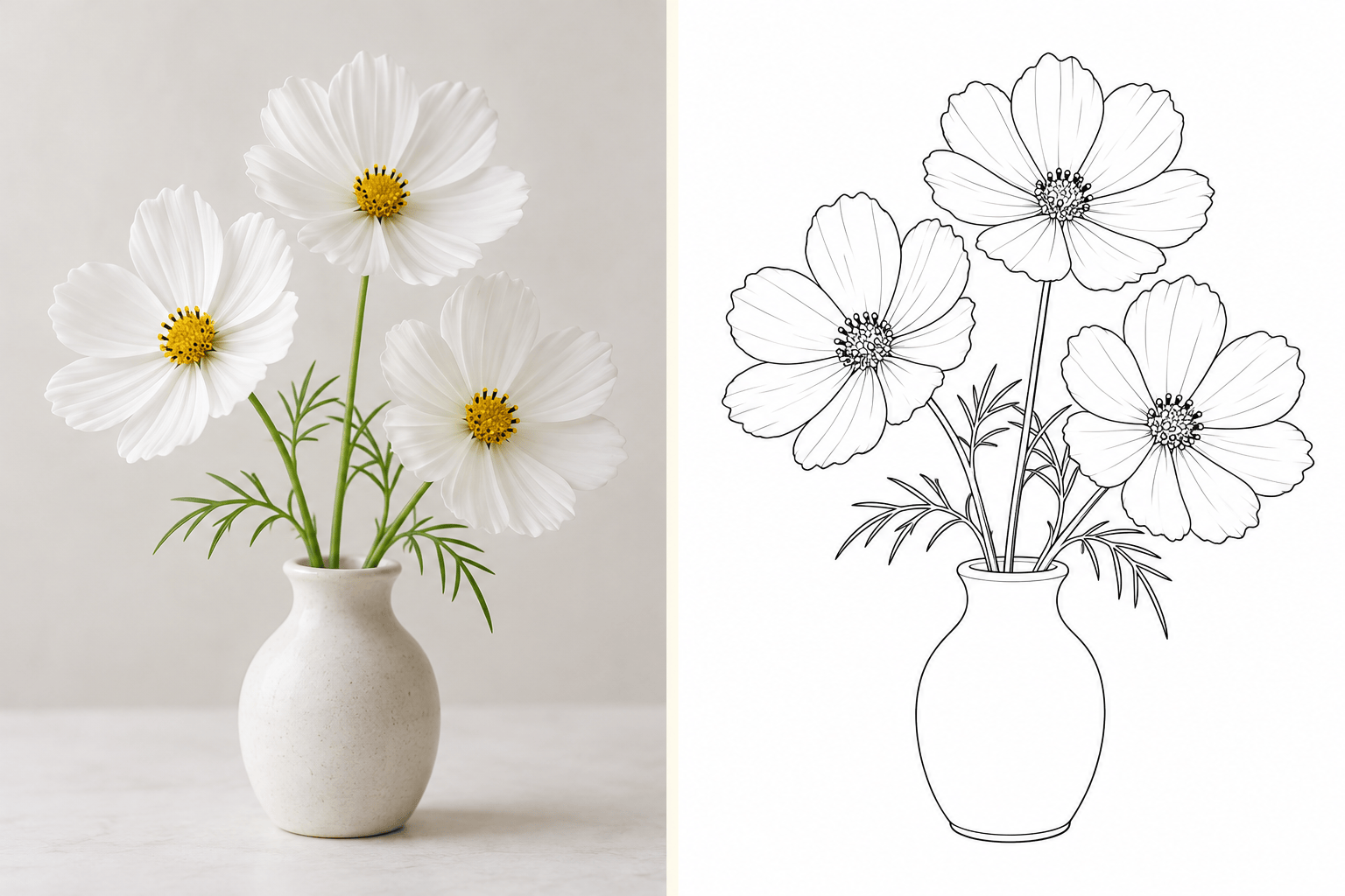 Flower photo to line drawing comparison