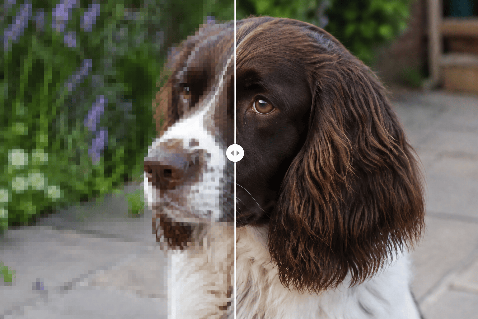 Pet mosaic removal comparison