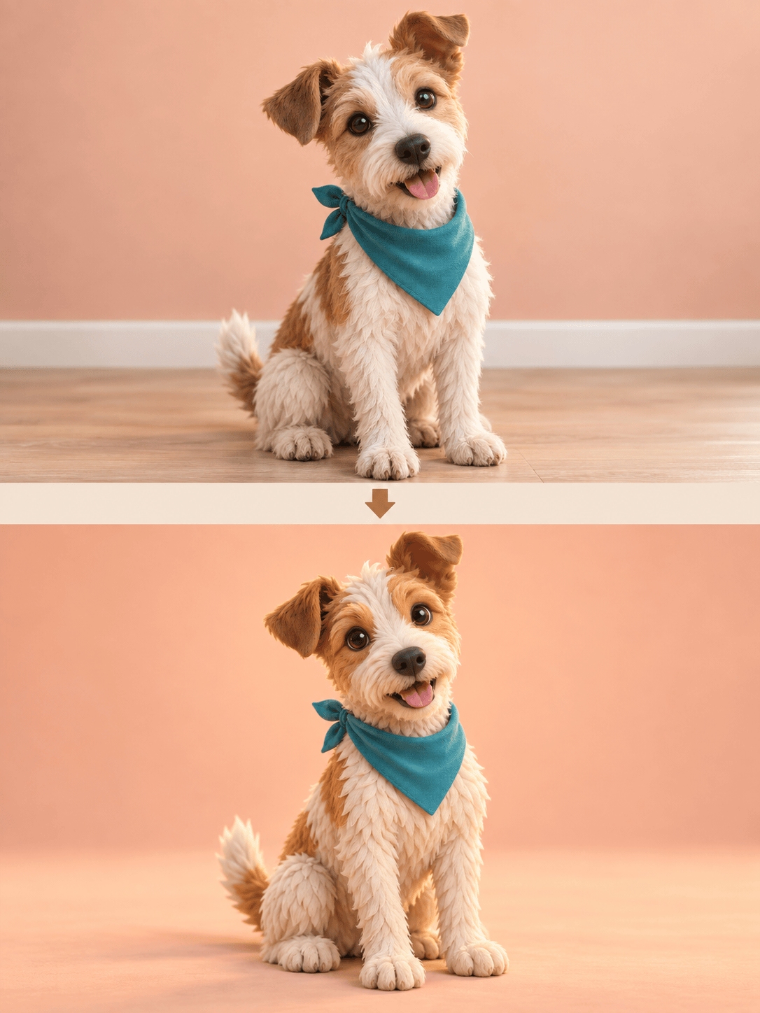 Pet photo to 3D character comparison