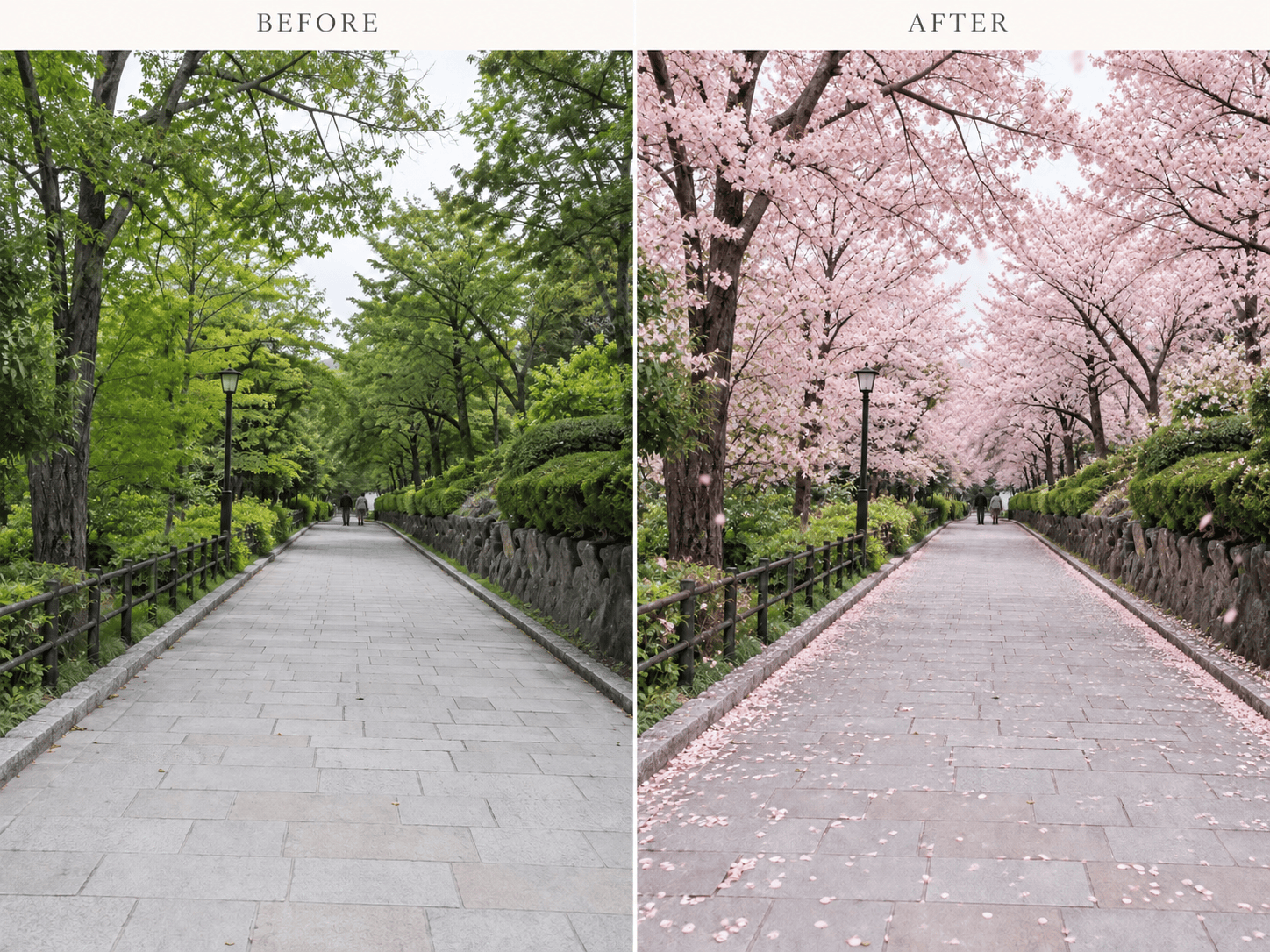Cherry blossom street photo comparison