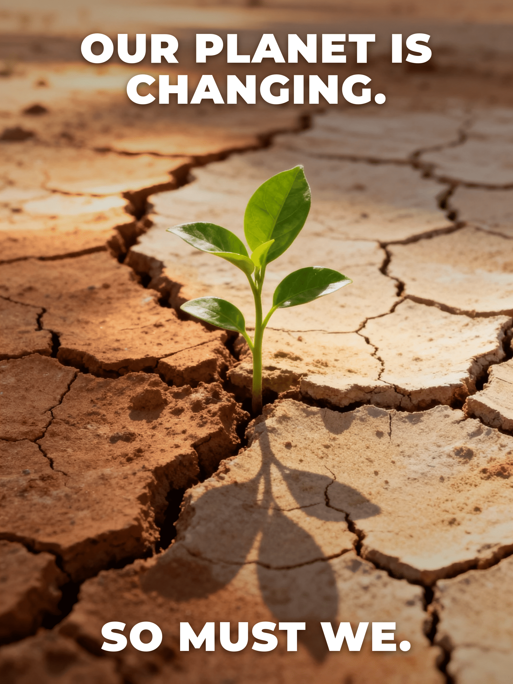 environmental awareness poster example