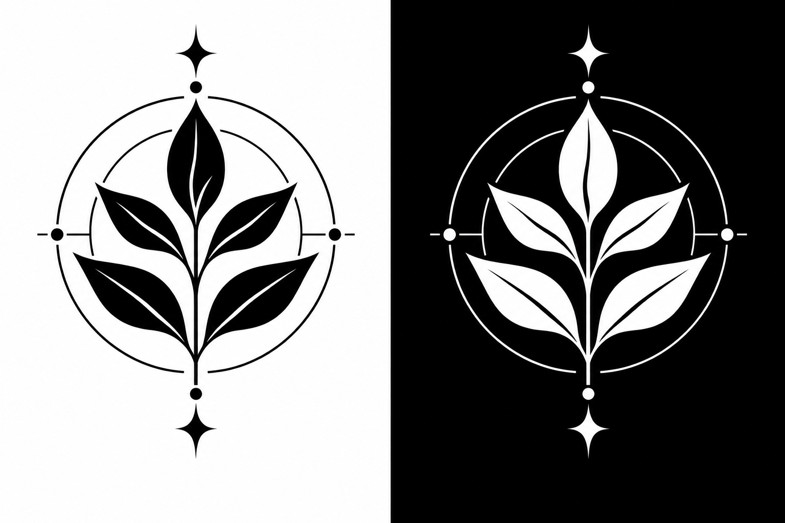 Inverted black and white image