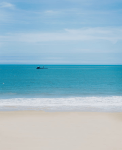 seedream 4.5 test 1 reference image 2