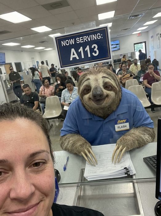 疯狂动物城自拍 ai 照片场景 闪电树懒