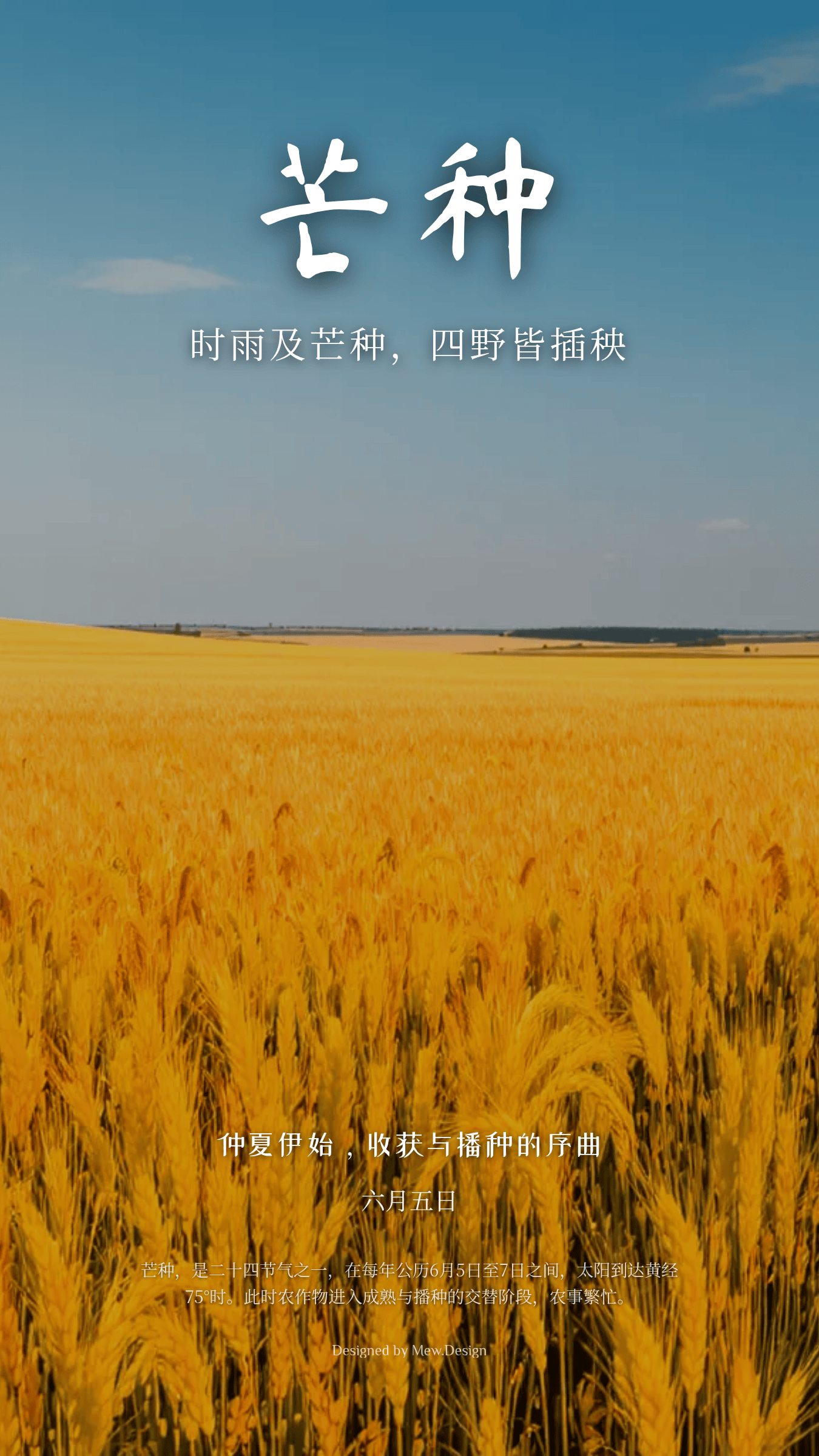 Chinese Mangzhong solar term poster over a golden wheat field with white calligraphy and seasonal text.